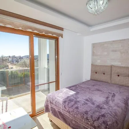 Appaloosa Properties